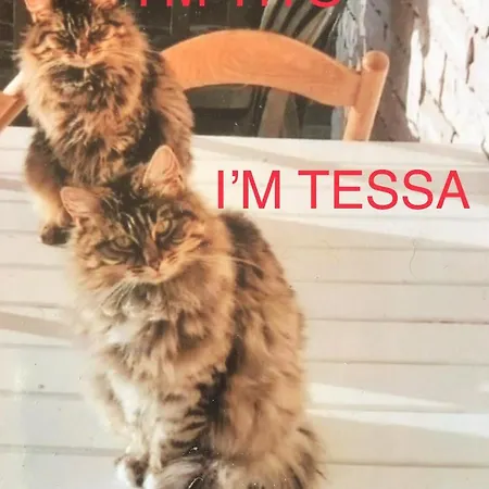 Penzion Happy's Casa 4*