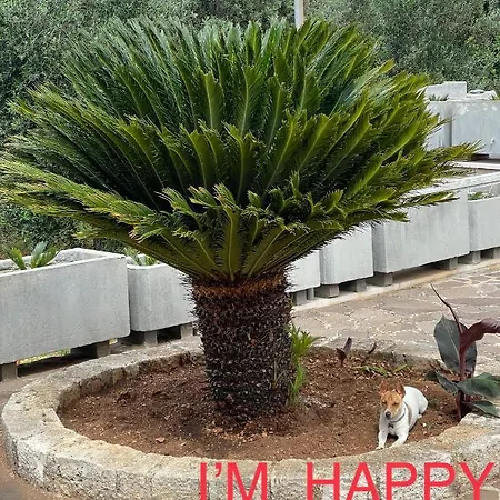 Happy's Casa Gasthuis