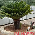 Happy's Casa Pensión