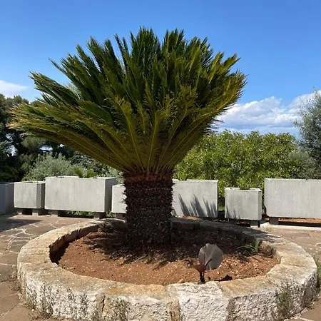 Happy's Casa 게스트하우스 4*