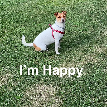 Happy's Casa